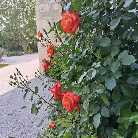 Manoir D'armagnac